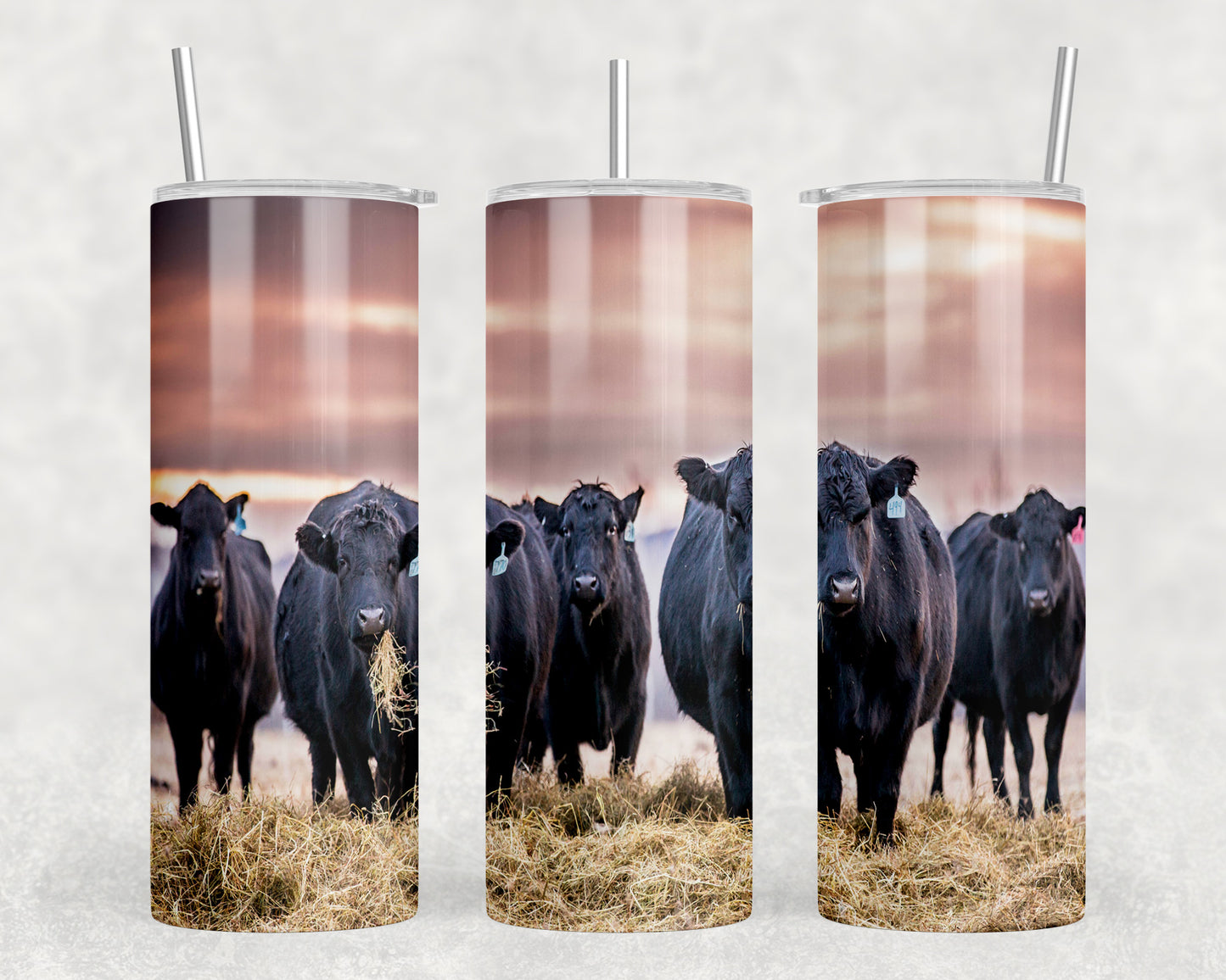 Black Angus Cattle 20oz Skinny Tumbler - 1473