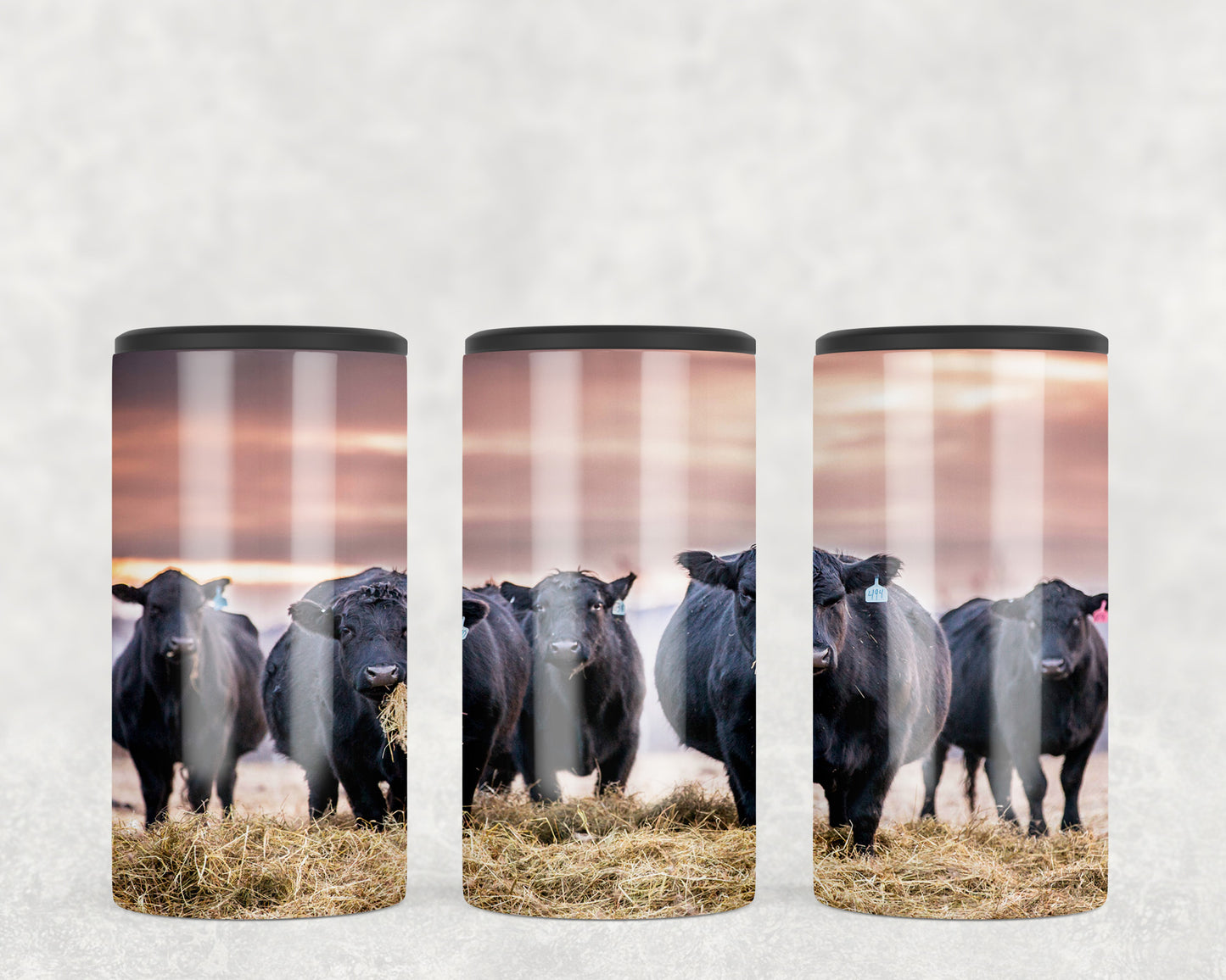 Black Angus Cattle 5-in-1 Can Hugger Tumbler - 1473