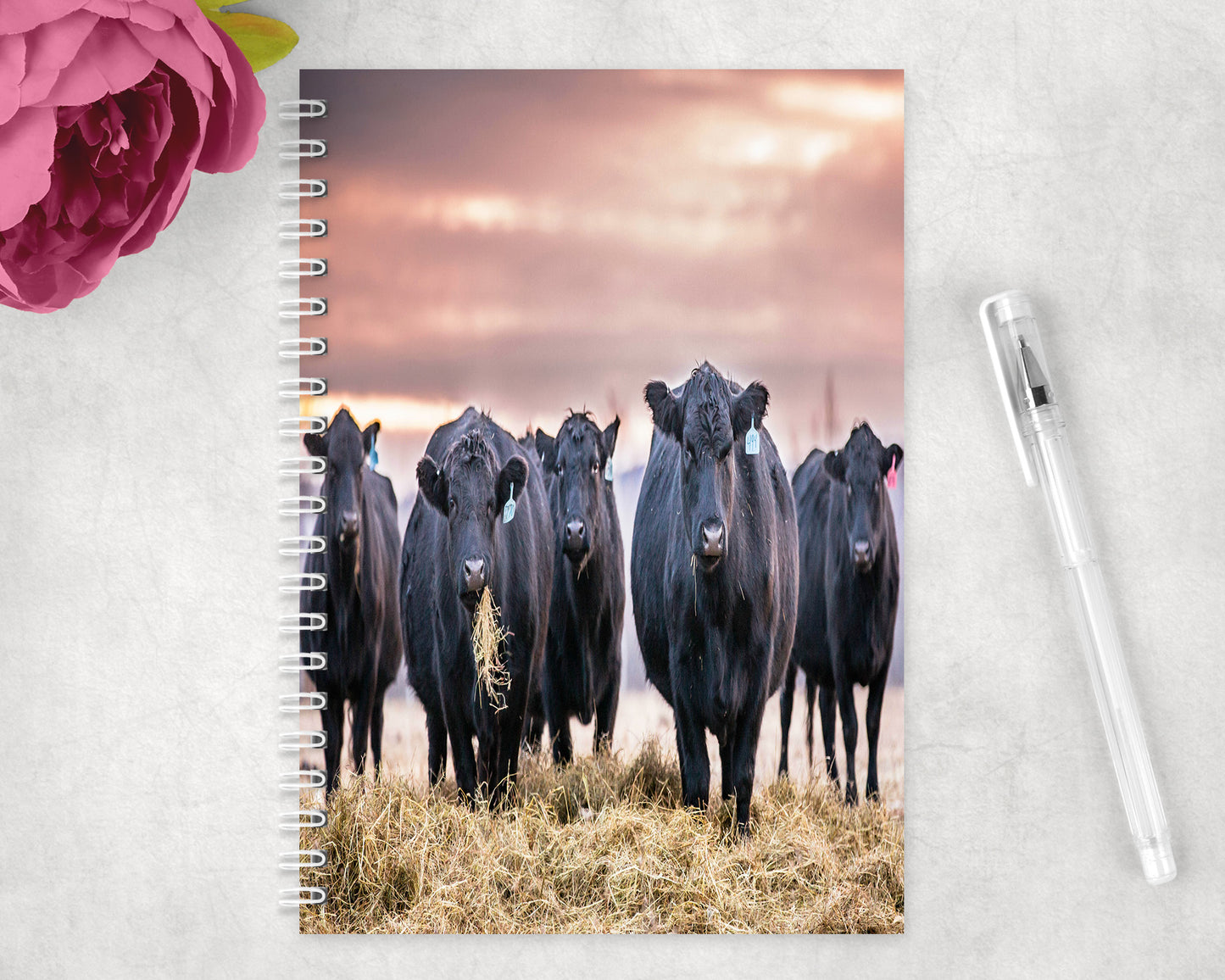 Black Angus Cattle Spiral Lined A5 Journal - 1473