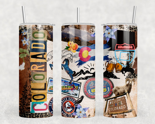 Colorado 20oz Skinny Tumbler - 2480