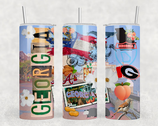 Georgia 20oz Skinny Tumbler - 2491