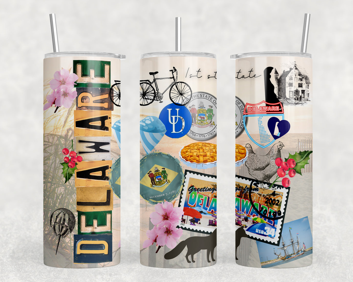 Delaware 20oz Skinny Tumbler - 2494