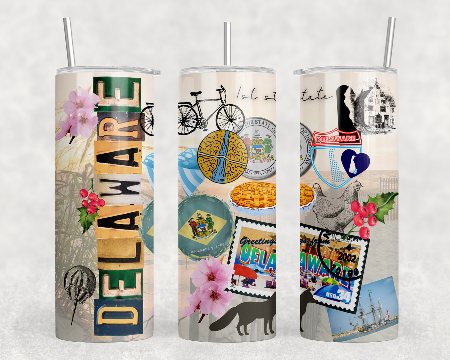 Delaware 20oz Skinny Tumbler - 2497