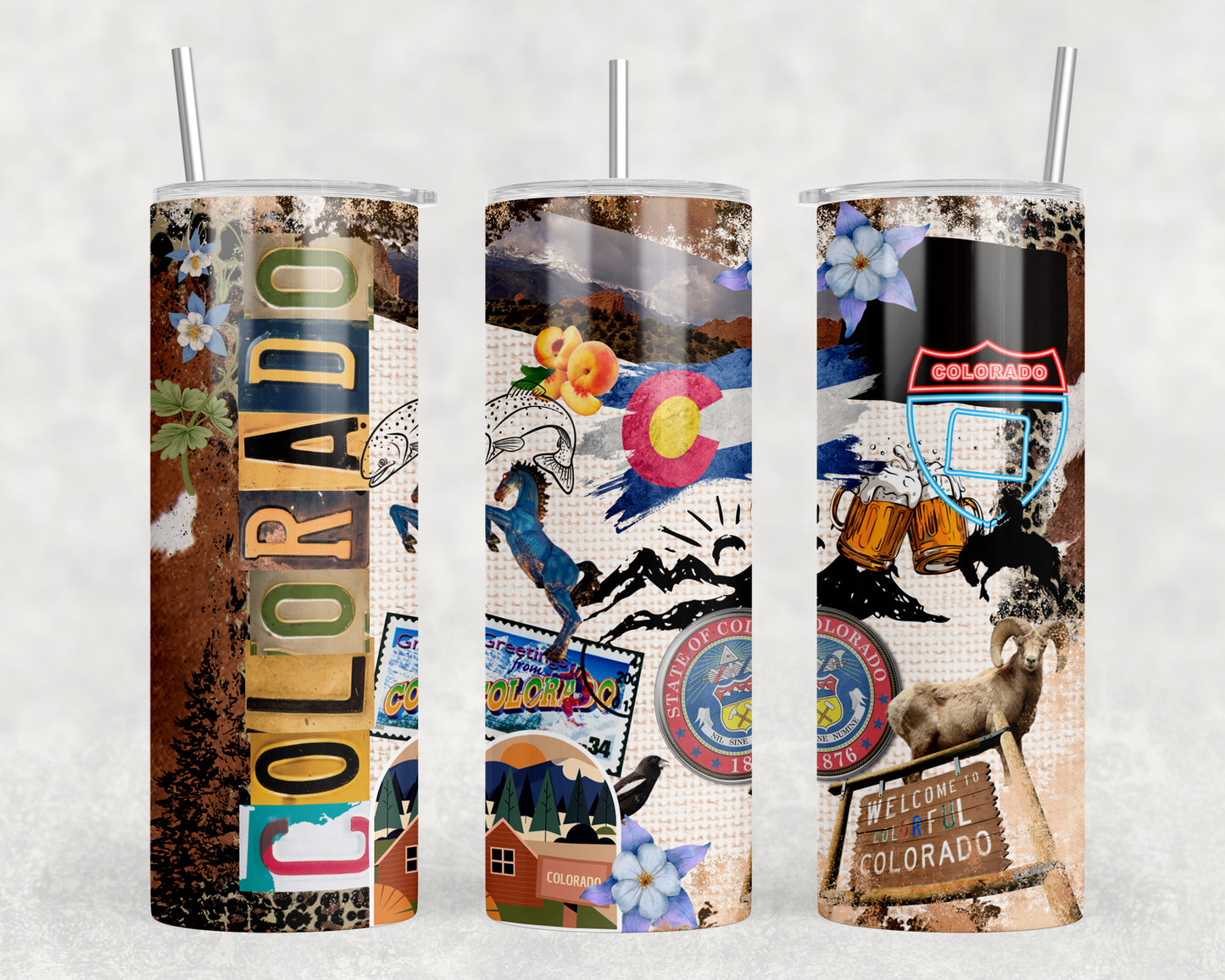 Colorado 20oz Skinny Tumbler - 2525