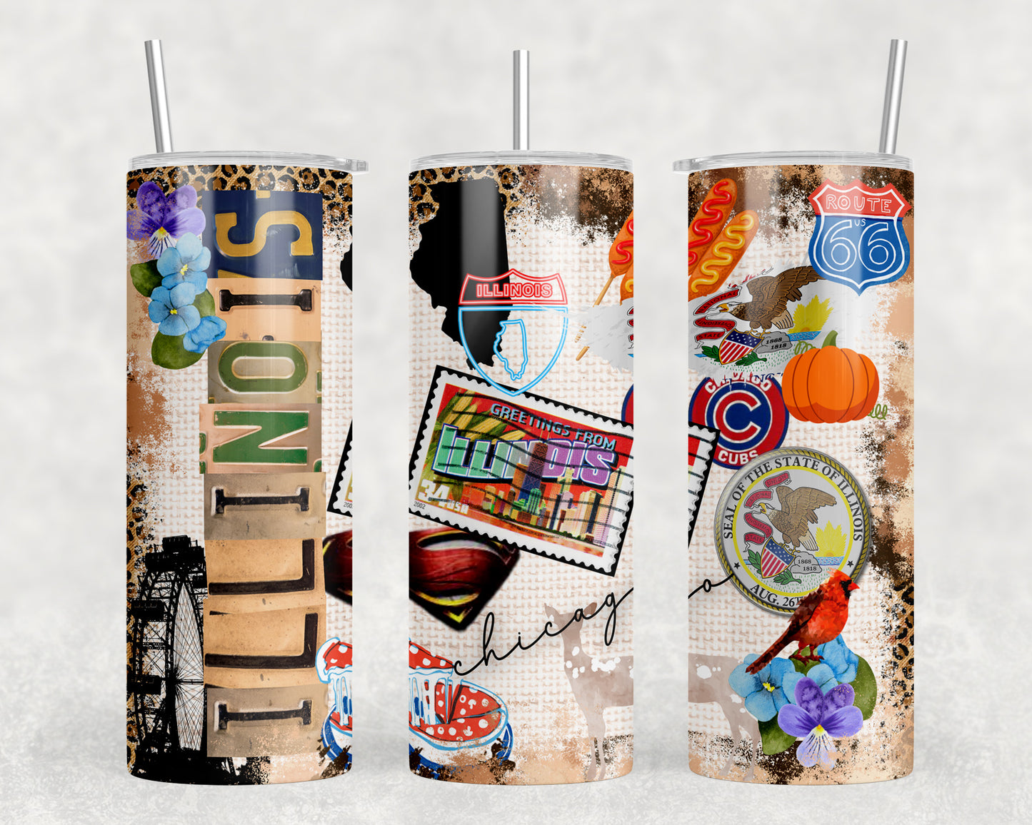 Illinois 20oz Skinny Tumbler - 2526