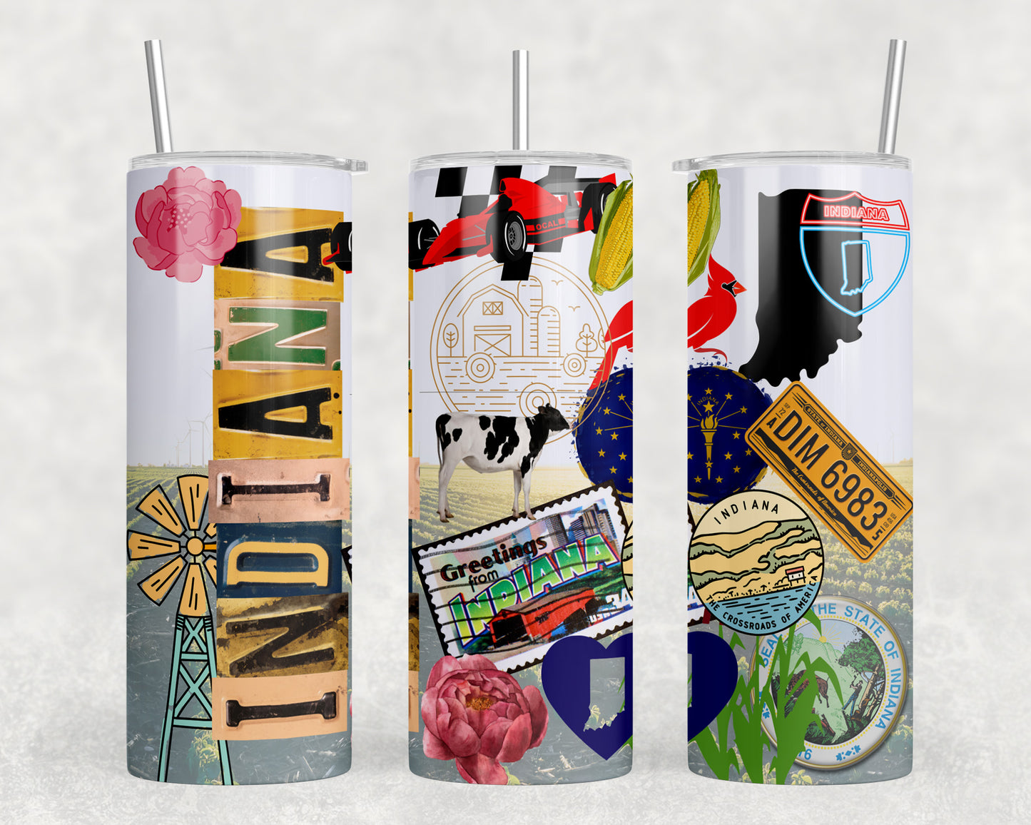 Indiana 20oz Skinny Tumbler - 2540