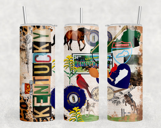 Kentucky 20oz Skinny Tumbler - 2547