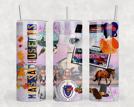 Massachusetts 20oz Skinny Tumbler - 2549