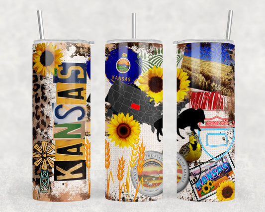 Kansas 20oz Skinny Tumbler - 2551