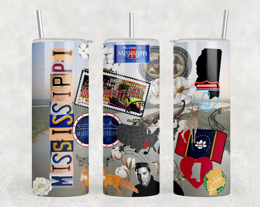 Mississippi 20oz Skinny Tumbler - 2554