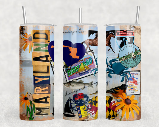 Maryland 20oz Skinny Tumbler - 2560