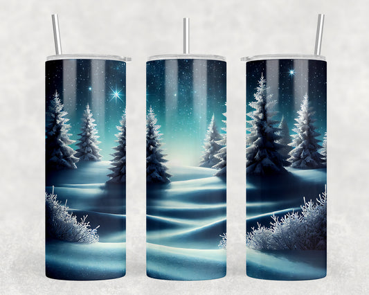 Winter 20oz Skinny Tumbler - 356